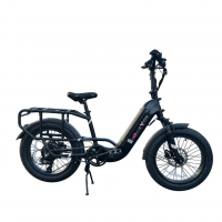 Электровелосипед BQI-Ut 100