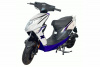 100021/1-1 Скутер Regulmoto EAGLE 50 (LJ50QT-3L) (белый-синий)