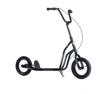 SKL-120-AWS Самокат 2-х колесный Bibitu Rider