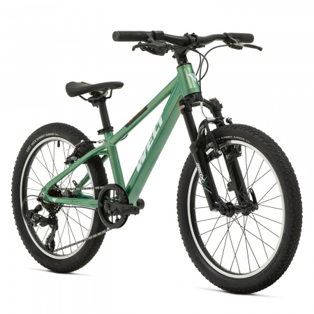 Велосипед Welt Brave 1.0 20 VB Calm Green
