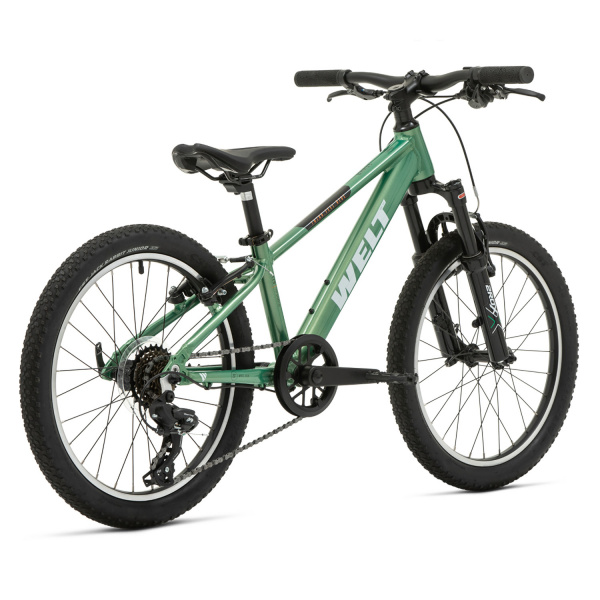 Велосипед Welt Brave 1.0 20 VB Calm Green