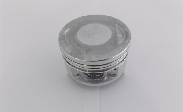 164FML152 Поршень