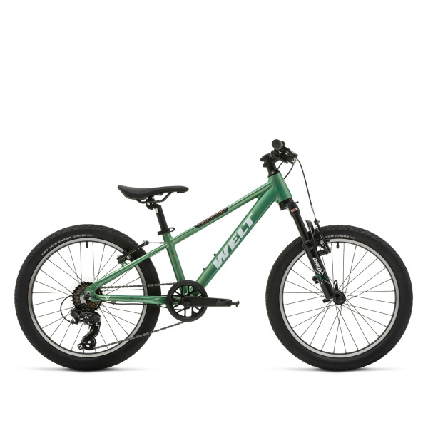 Велосипед Welt Brave 1.0 20 VB Calm Green