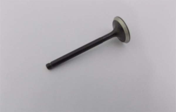 157QMJ033 Выпускной клапан