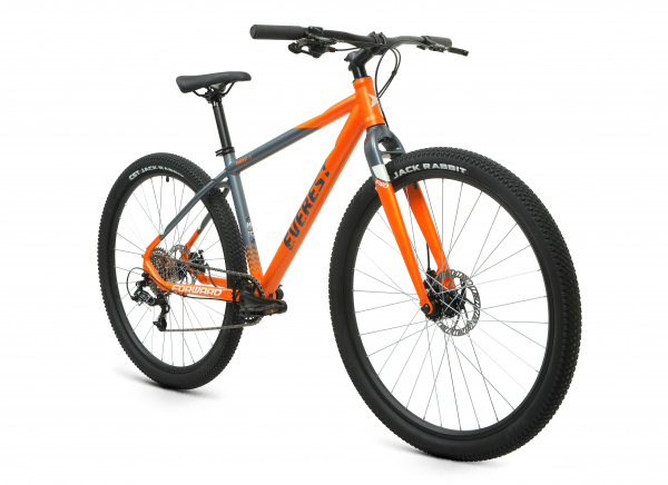 Велосипед Forward EVEREST D 29" 8-ск