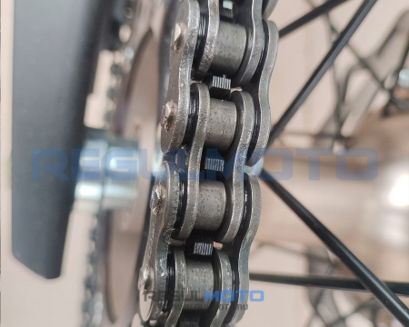 300014 Мотоцикл Regulmoto ZR PR 300 4 valves 6 Gear