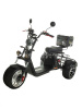 Электроскутер CityCoco TRIKE GT-X12