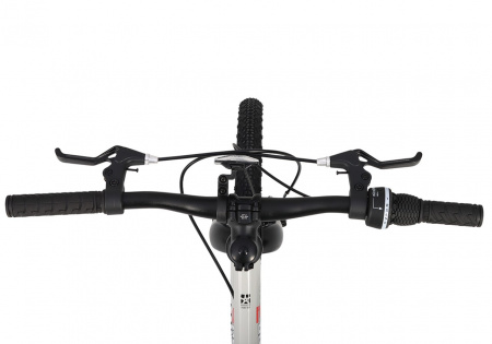 Велосипед Maxiscoo 3BIKE 20'' L (2025)