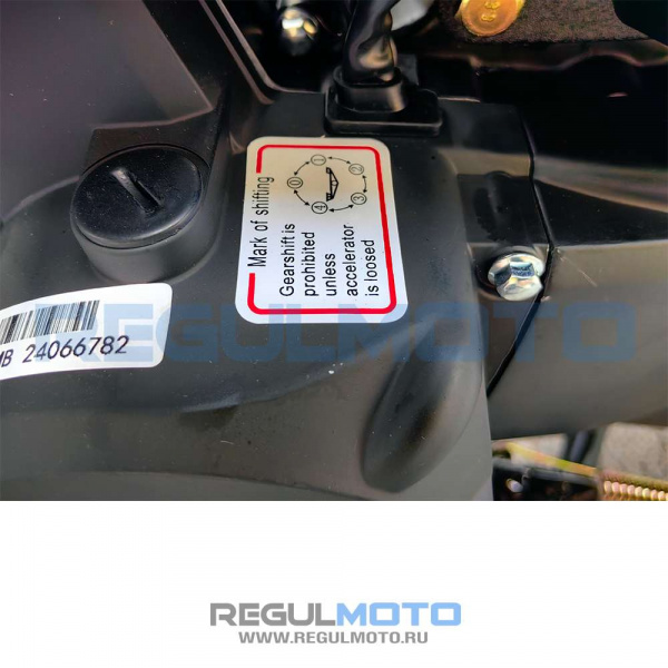 102362 Мопед Regulmoto Alpha RM-3